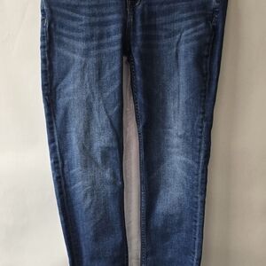 Vigoss Deep Indigo Skinny Jeans